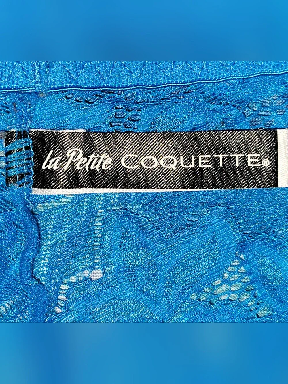 La Petite Coquette New York XL Blue Lace Low Rise Thong Panties NWOT